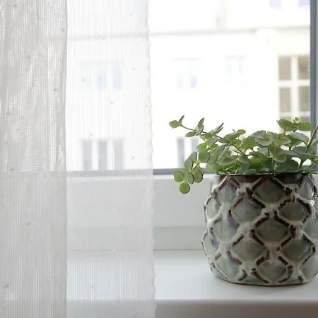 Center Place Apartment *
